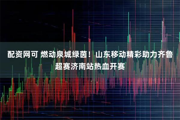 配资网可 燃动泉城绿茵！山东移动精彩助力齐鲁超赛济南站热血开赛